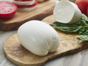 fresh italian mozzarella