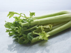 fresh celery sleeve