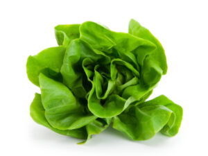 organic lettuce clamshell